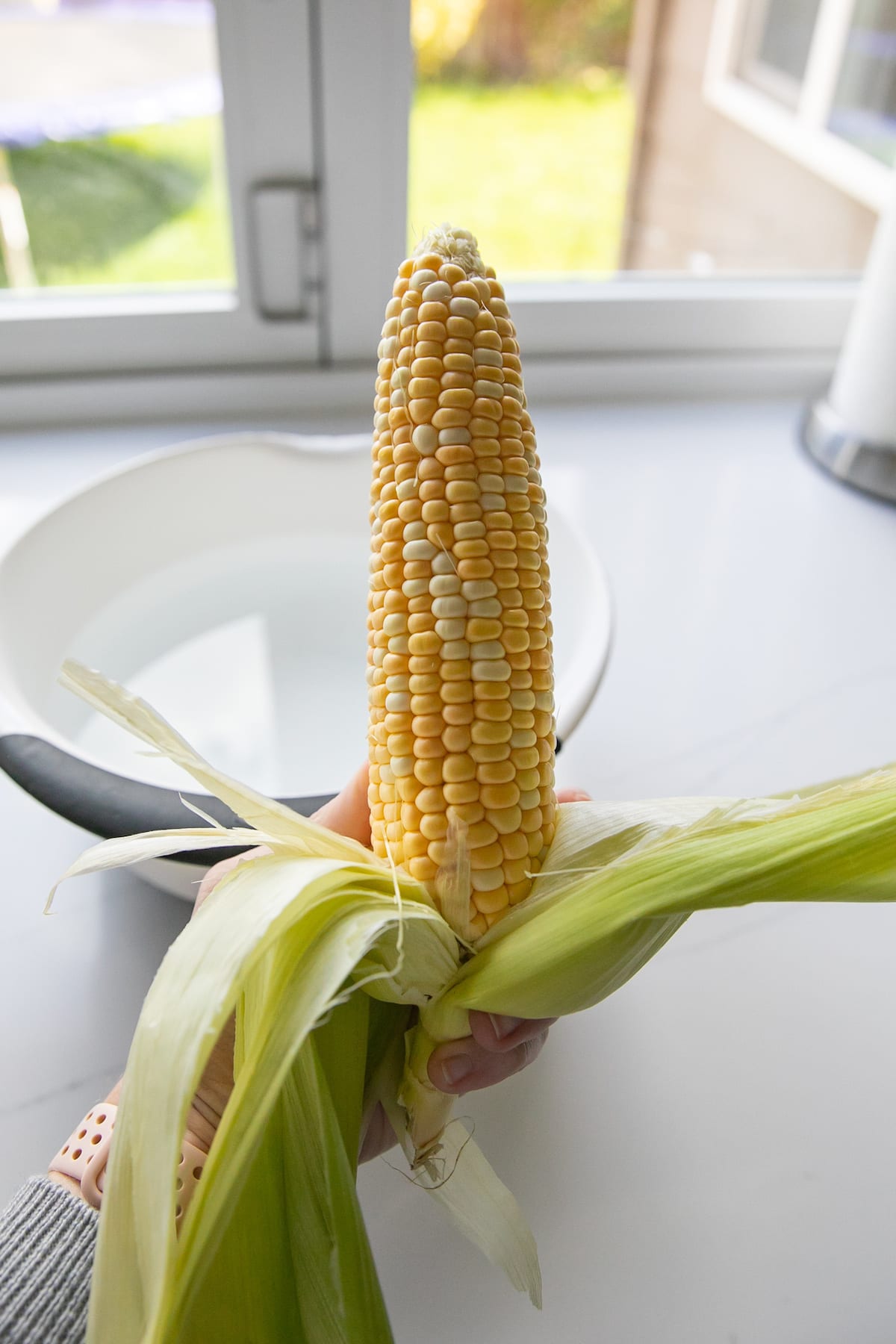 hand holding corn on the cob with silk removed
