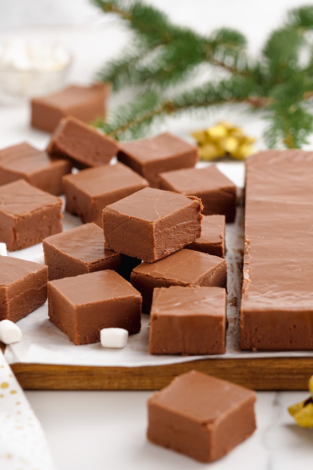 Squares of chocolate fudge are arranged on a wooden board with a sprig of pine in the background.