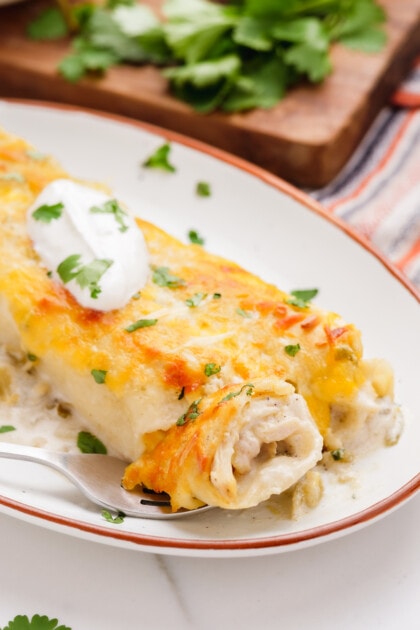 Sour Cream Chicken Enchiladas - Lauren's Latest