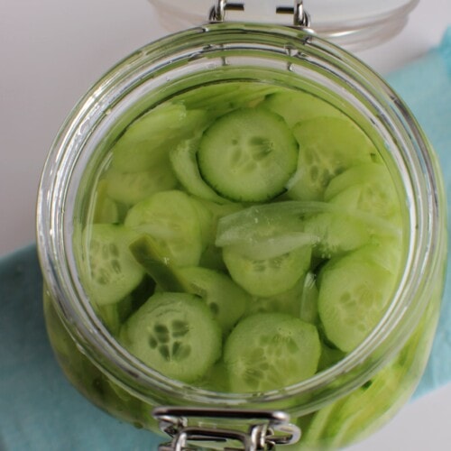 Two fresh green mini cucumbers and sliced half with three slices