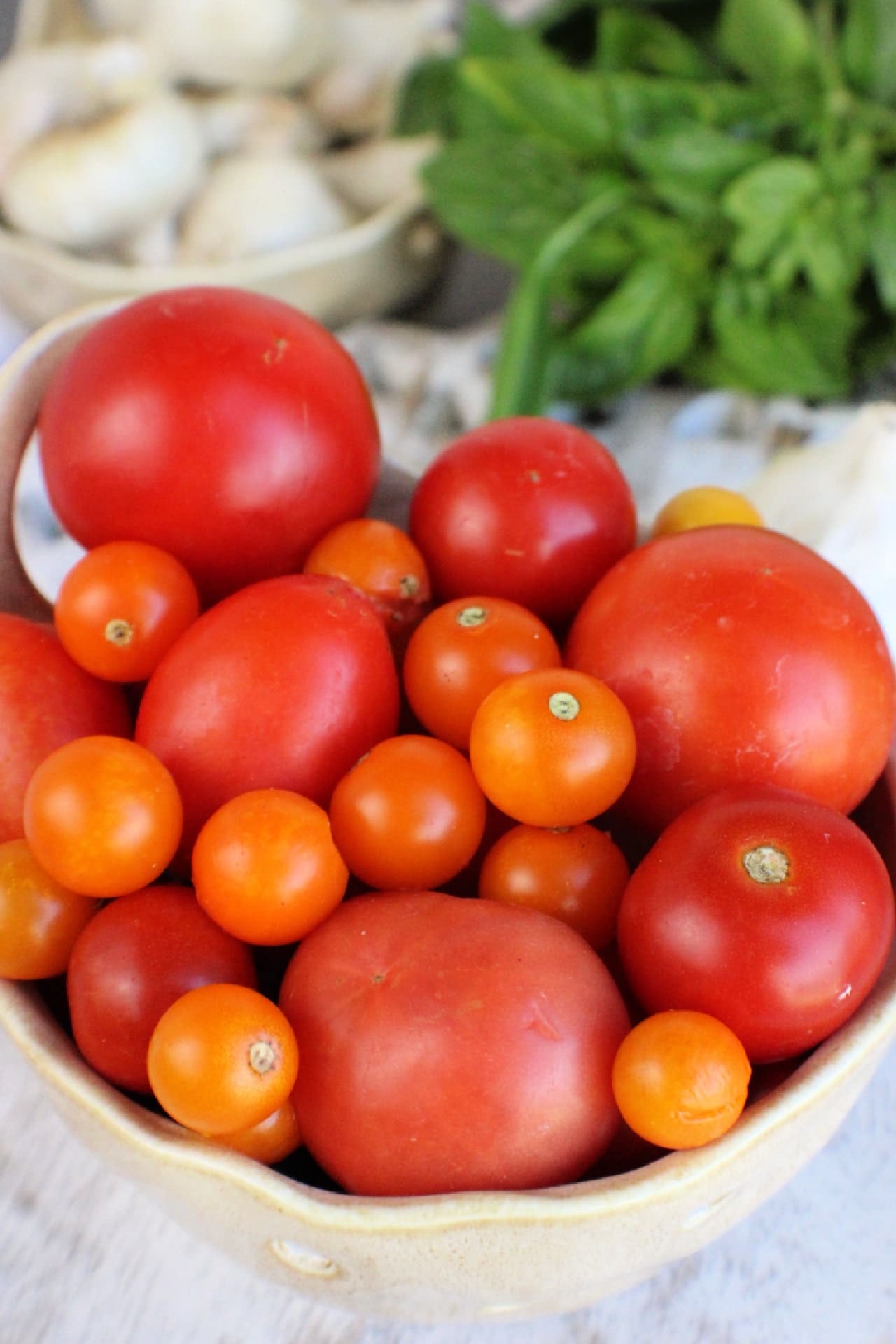 fresh tomatoes in a bowl