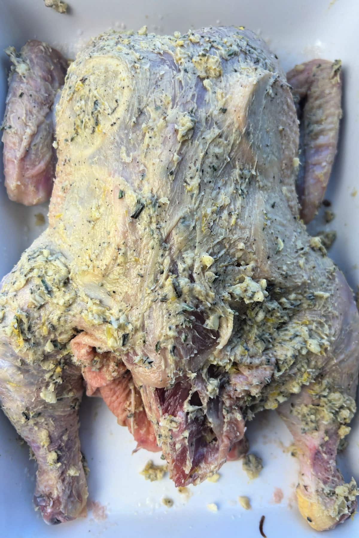 spatchcock chicken rubbed with butter, herbs, garlic and lemons