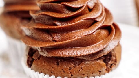 A chocolate cupcake with a swirl of chocolate frosting on a plate with a floral pattern.
