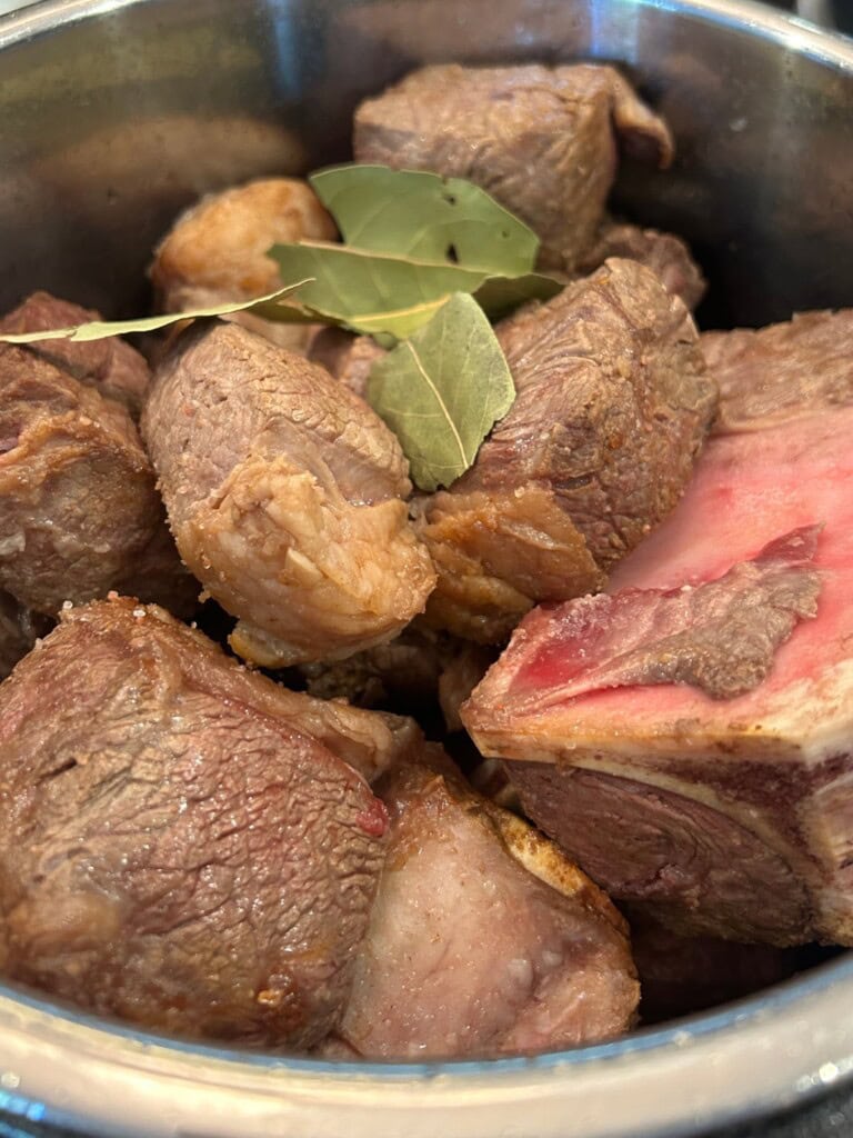 instant pot birria meat