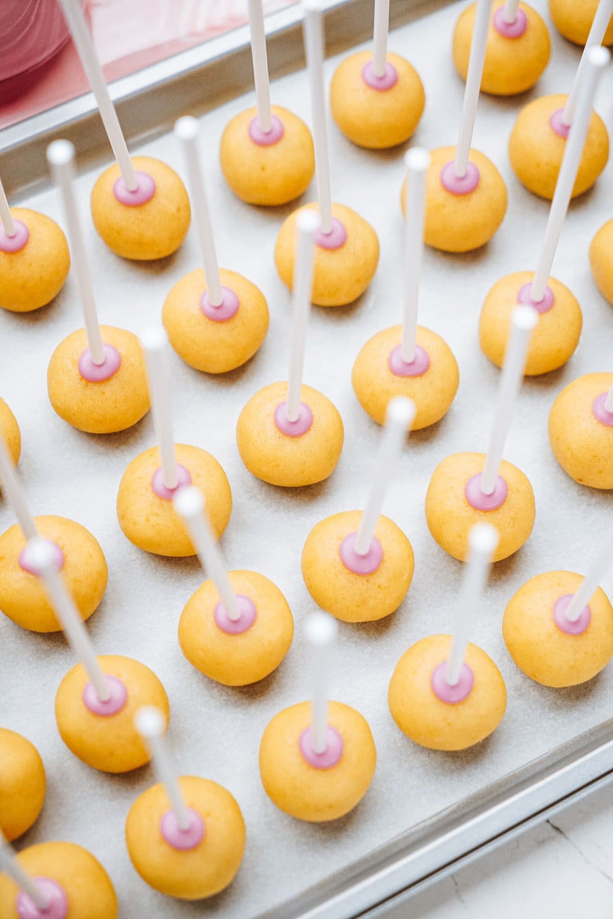 cake pop sticks inserted into a pan of cake pops 