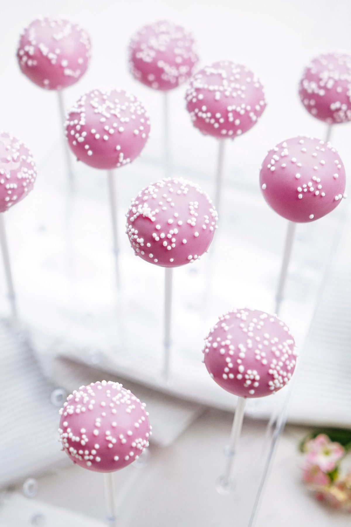 cake pops drying in a cake pop stand 
