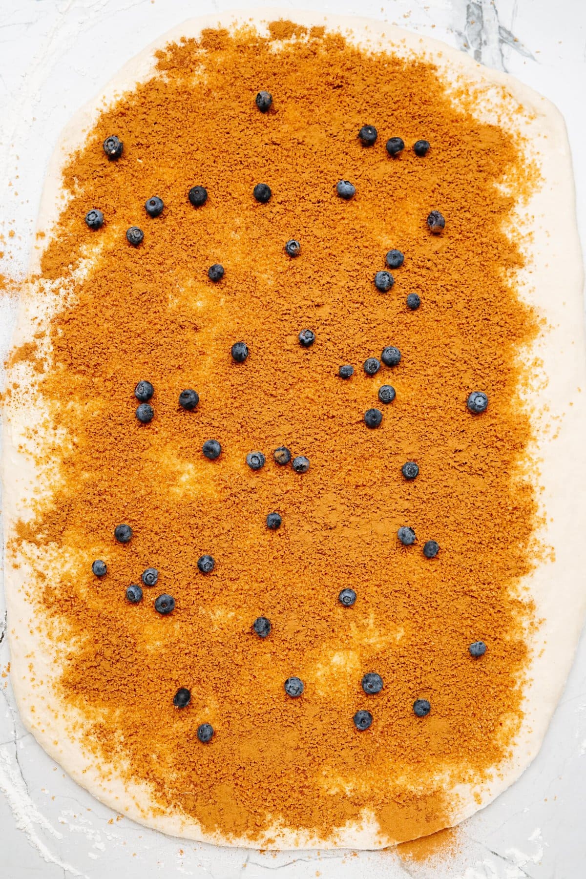 A rolled-out dough sheet topped with a generous layer of cinnamon and scattered blueberries, reminiscent of the comforting flavors found in cinnamon rolls.