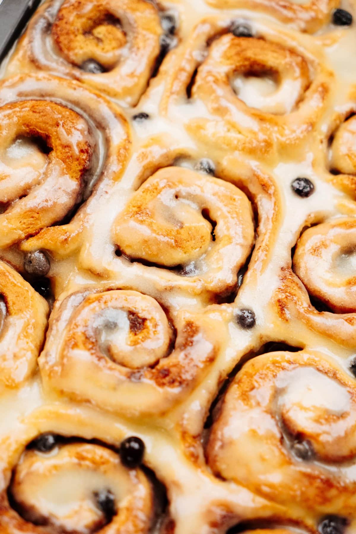 A close-up view of freshly baked cinnamon rolls with a glaze on top, featuring some visible raisins or blueberries in the soft dough.