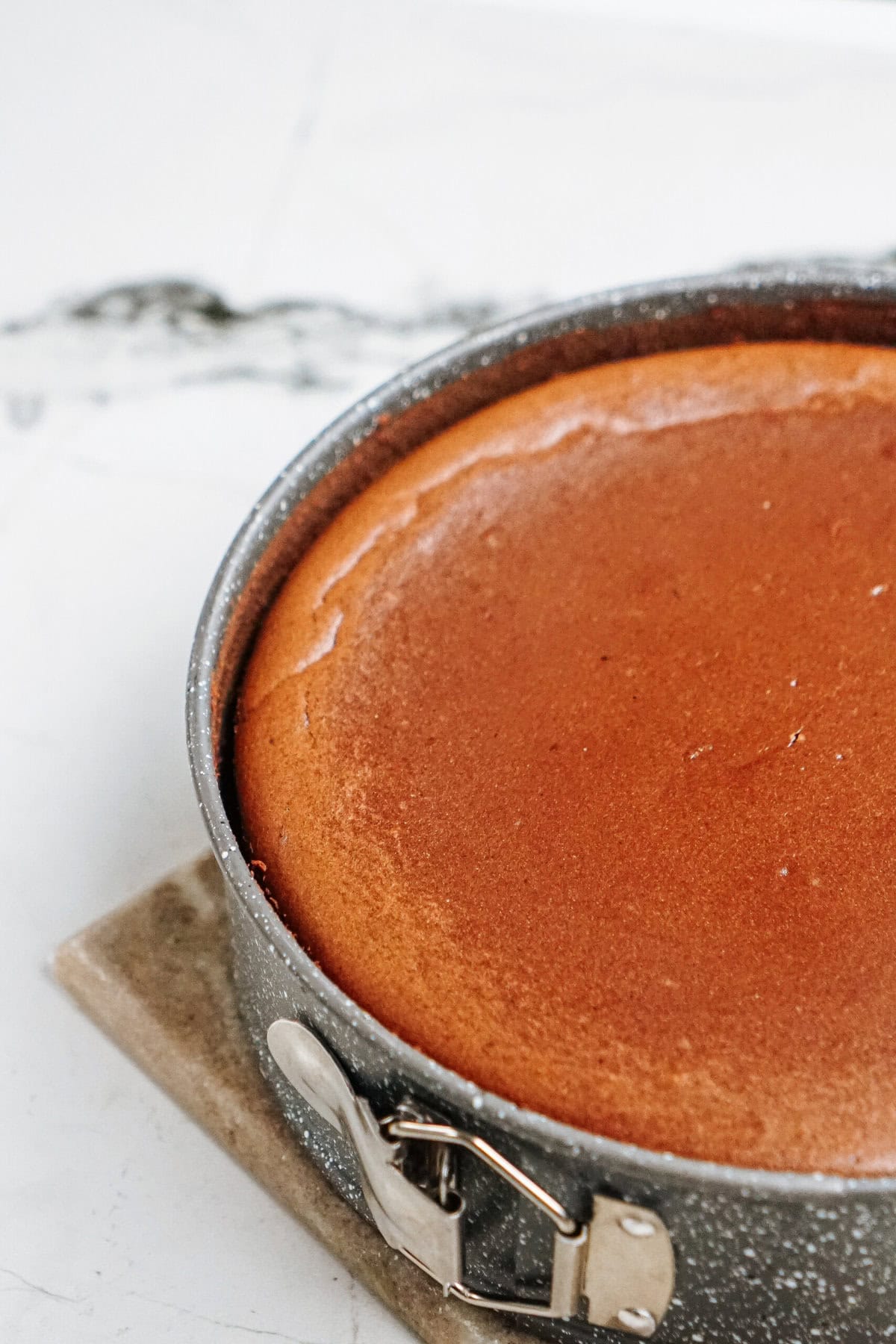 A perfectly baked cheesecake in a springform pan on a white surface.