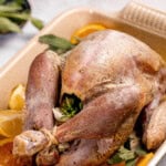 Dry brine turkey, perfectly seasoned, rests in a roasting pan with orange and lemon slices, garnished with fresh herbs.