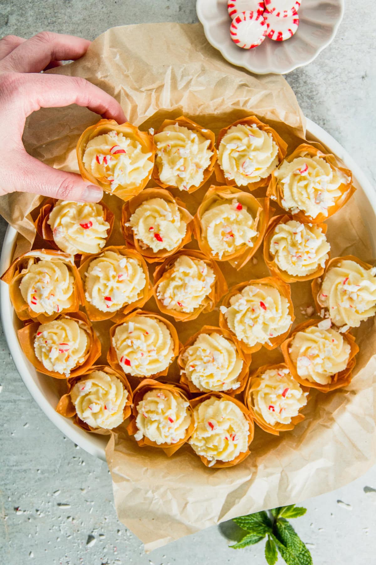 Mini White Chocolate and Mint Tarts Final shot 1