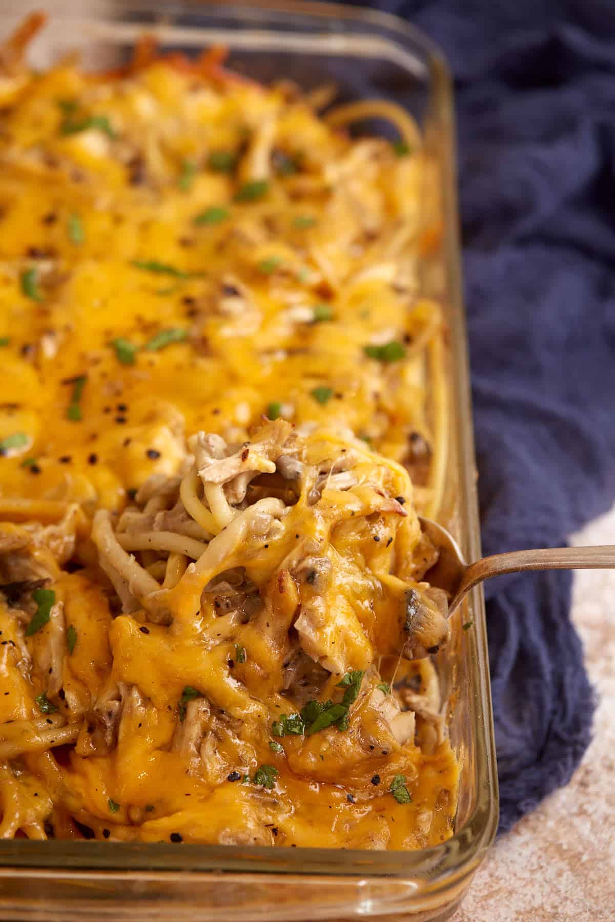 Chicken Tetrazzini