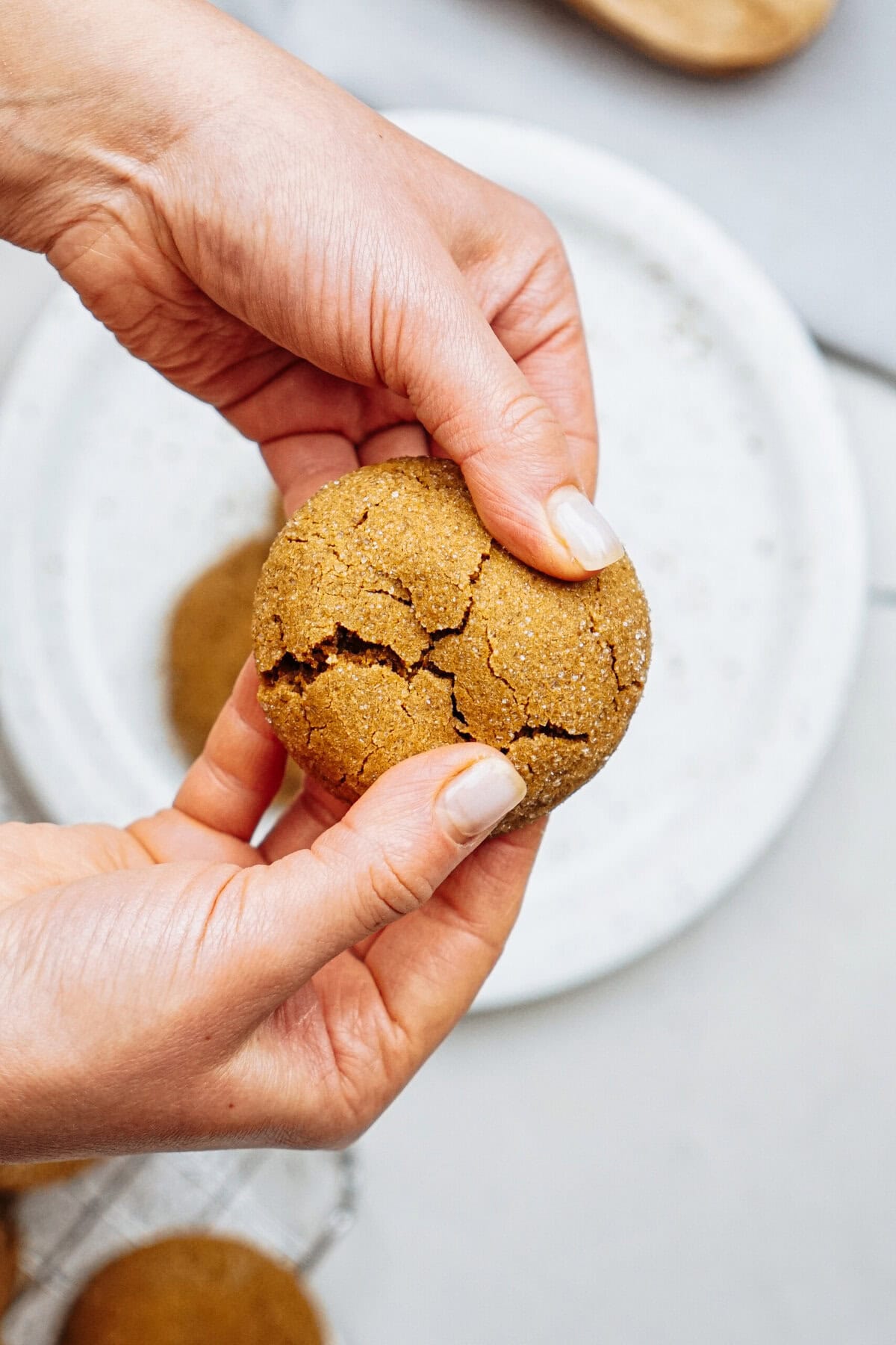 Hands holding a cracked, round ginger cookie over a white plate with more cookies in the background.