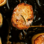 Fondant Potatoes. Photo credit Lauren's Latest.