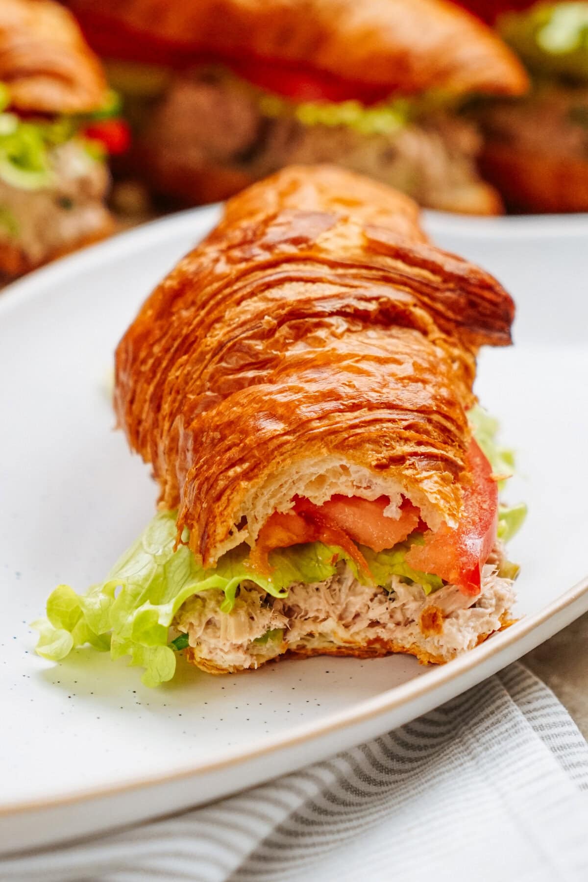 A croissant sandwich with lettuce, tomato, and a creamy tuna salad filling sits invitingly on a white plate.