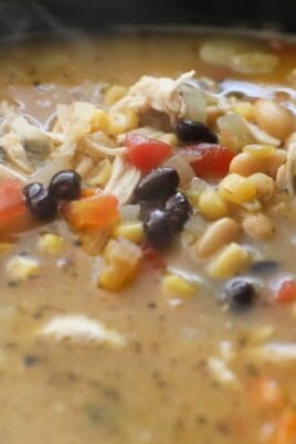 Crockpot Chicken Tortilla Soup. Photo credit Lauren's Latest.