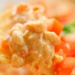 Chicken Nacho Dip. Photo credit Lauren's Latest.