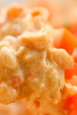 Chicken Nacho Dip. Photo credit Lauren's Latest.