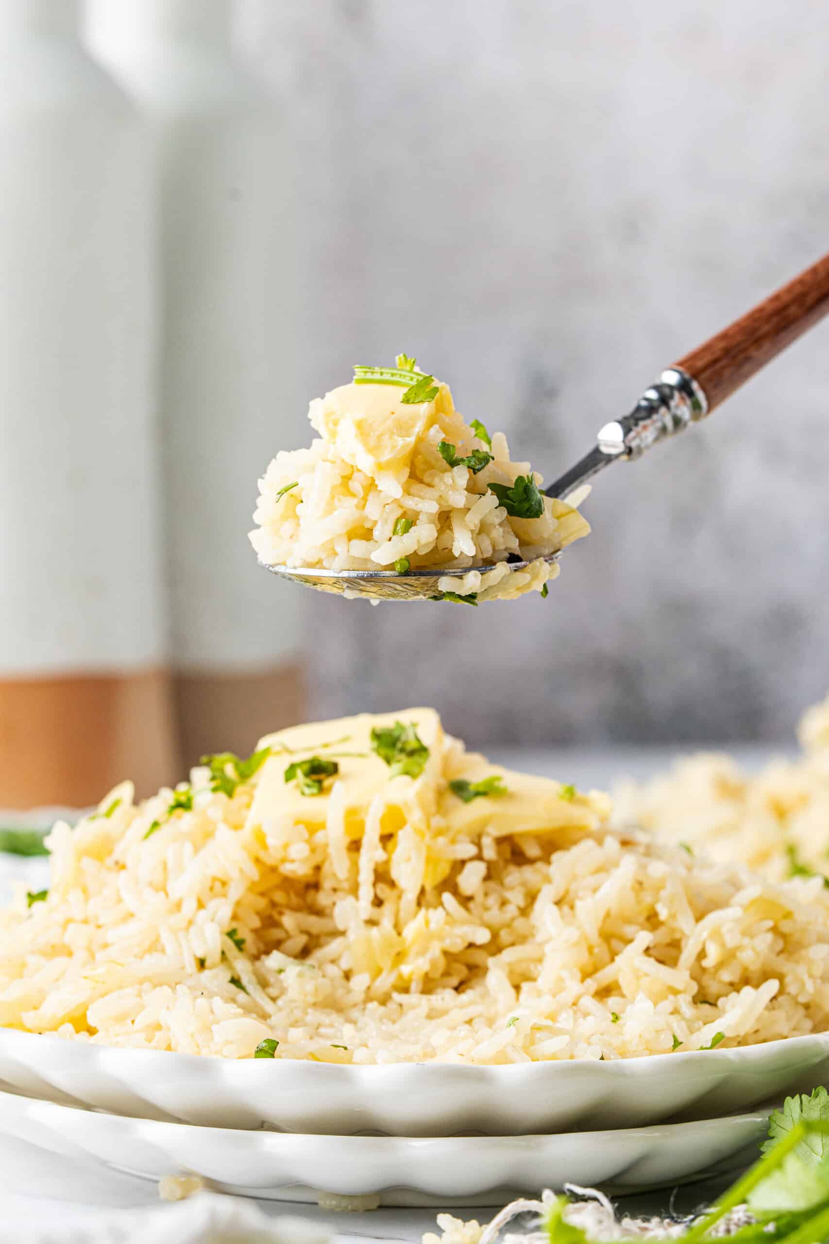 Spoonful of butter rice