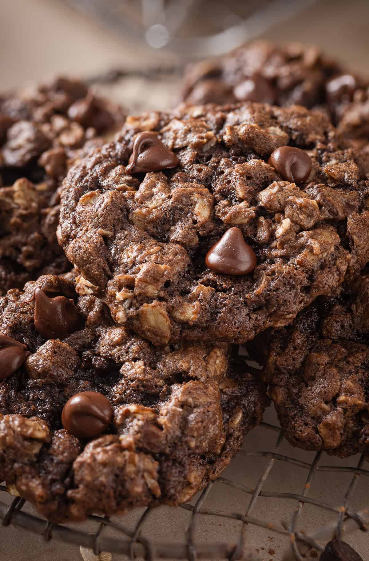 Close-up of chocolate oatmeal cookies with chocolate chips on a cooling rack.