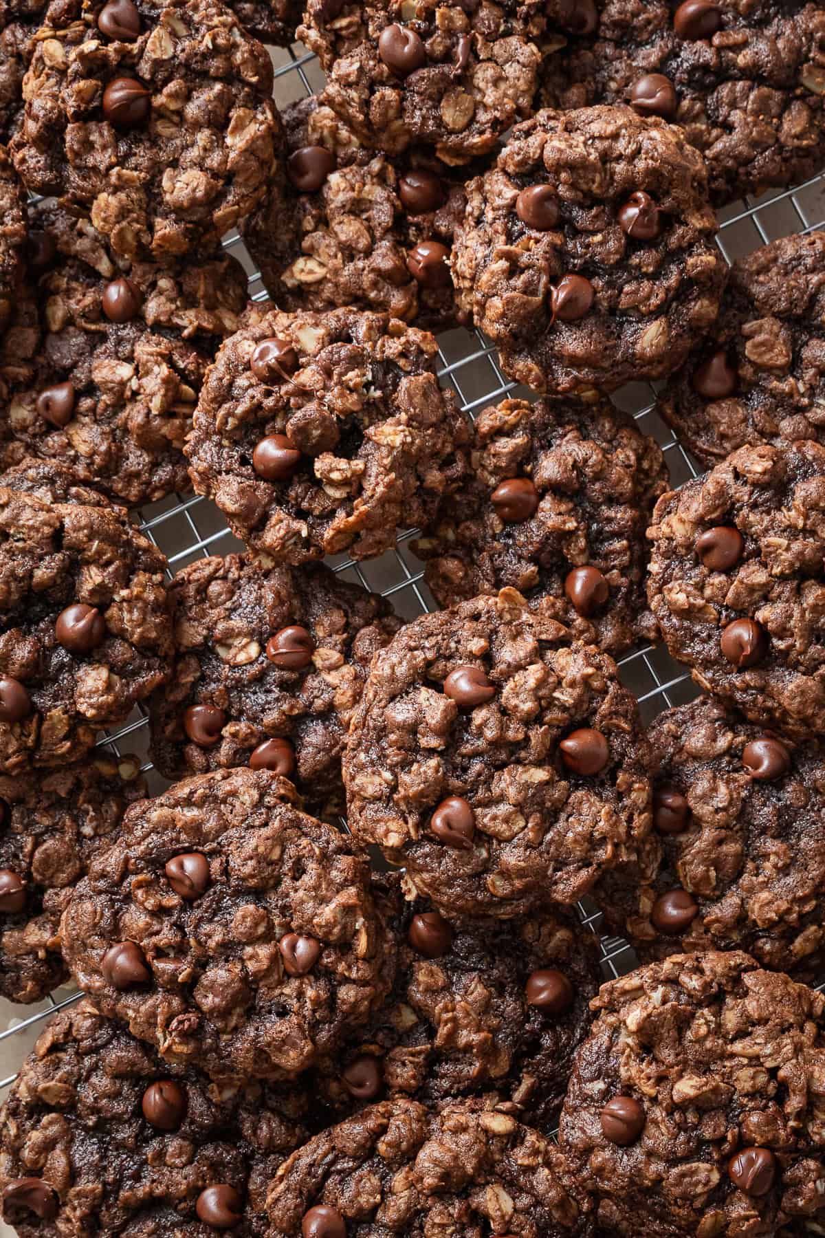 cookies loaded with oats and chocolate chips on a cooling rack.