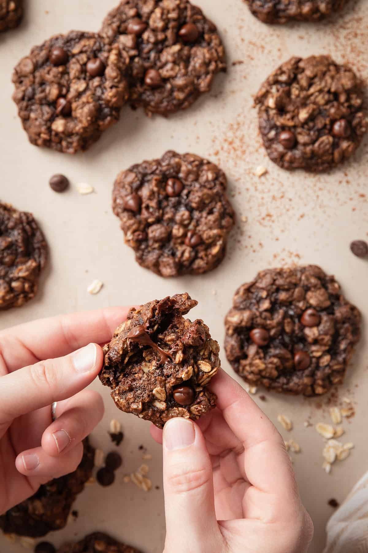 Chocolate oatmeal cookie broken open to show the soft center and melted chocolate chips.