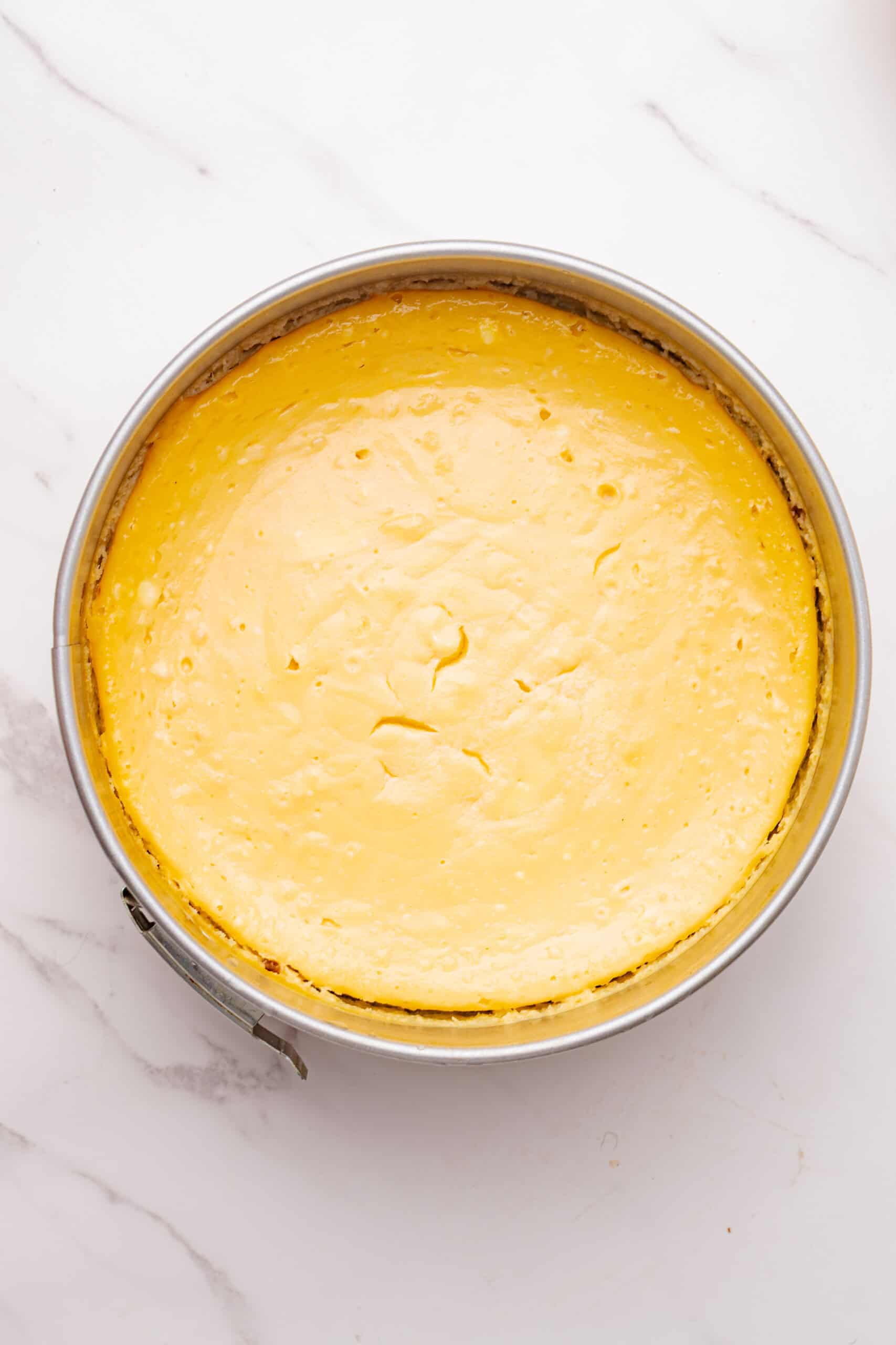 Baked Irish cream cheesecake cooling in a springform pan.