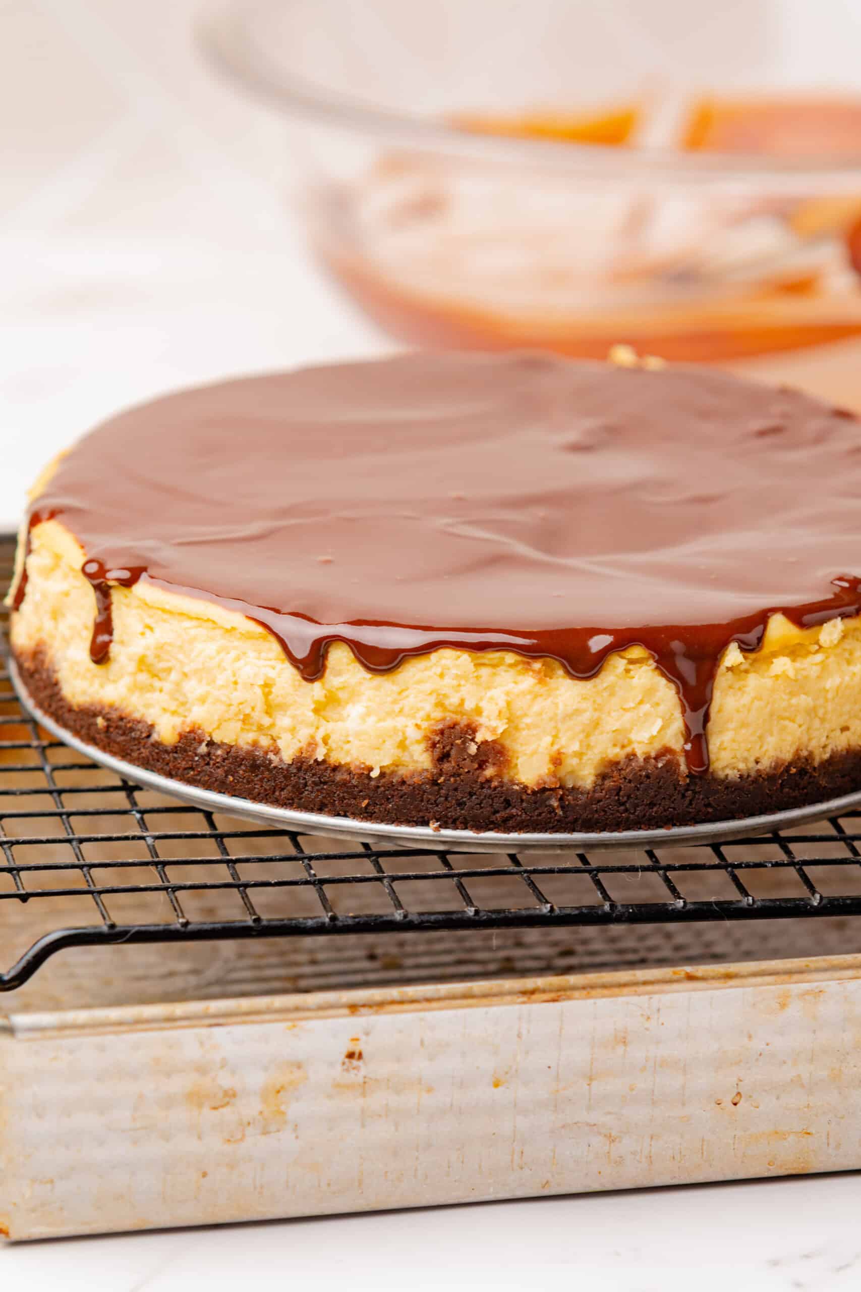 Irish cream cheesecake topped with smooth chocolate ganache over a chocolate cookie crust.