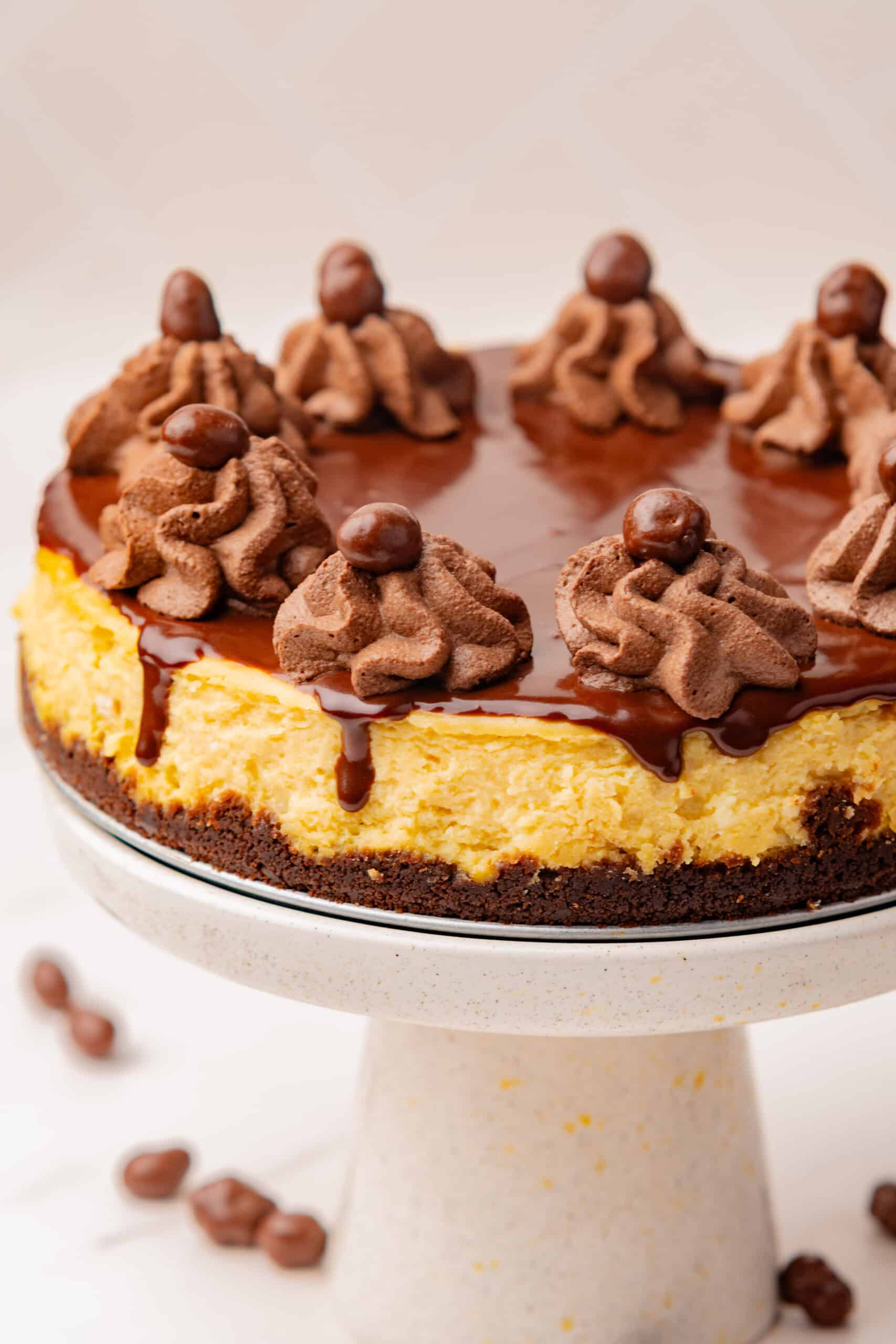 Irish cream cheesecake with chocolate ganache and chocolate whipped cream on a cake stand.