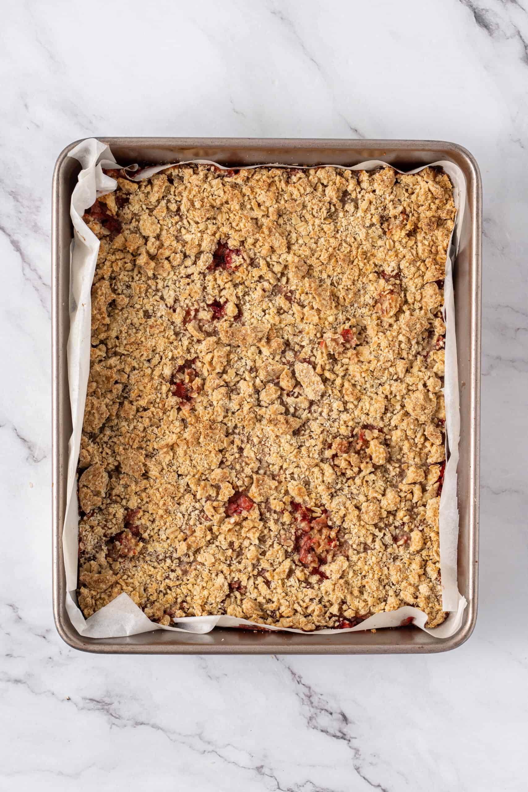 Baked crumb bars with a golden oat crumble topping.